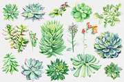 Watercolor Green plants, a Decorative Illustration by Hanna Hryharenka (Thumbnail 2 of 11)