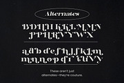 Dynasti Display Font, a Serif Font by Megatype (Thumbnail 11 of 11)