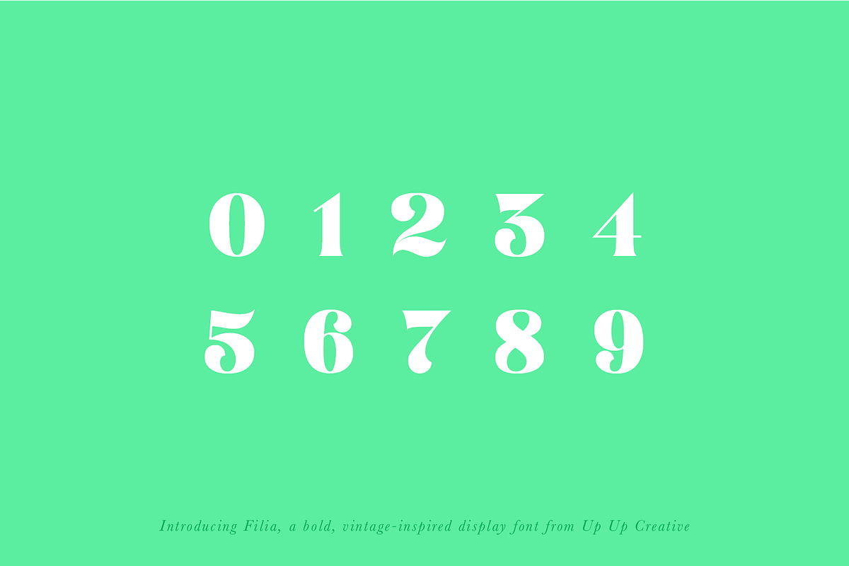Filia Display Font preview 7