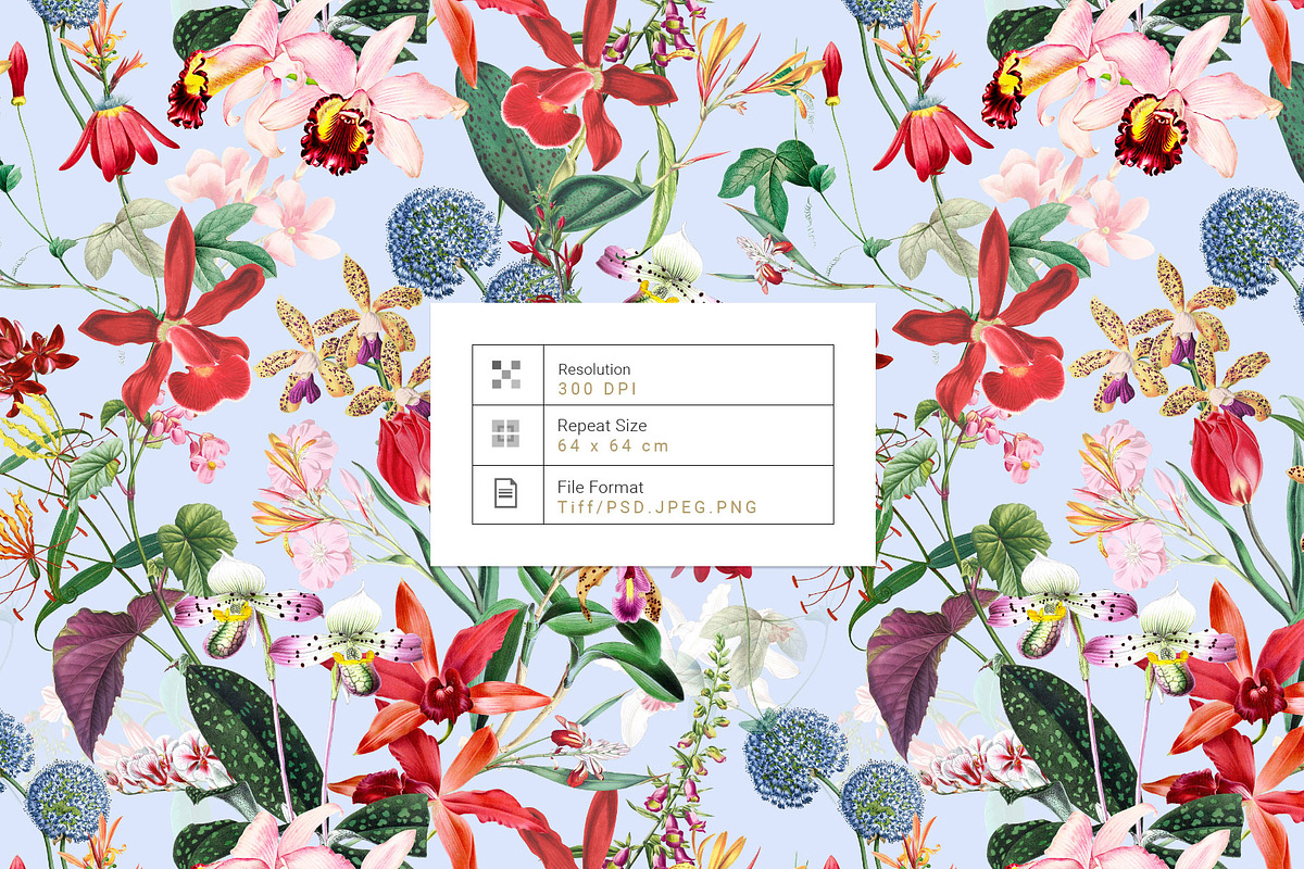 Exotic Orchids, Prints & Motif!, a Pattern Graphic by TSTUDIO (Photo 5 of 10)