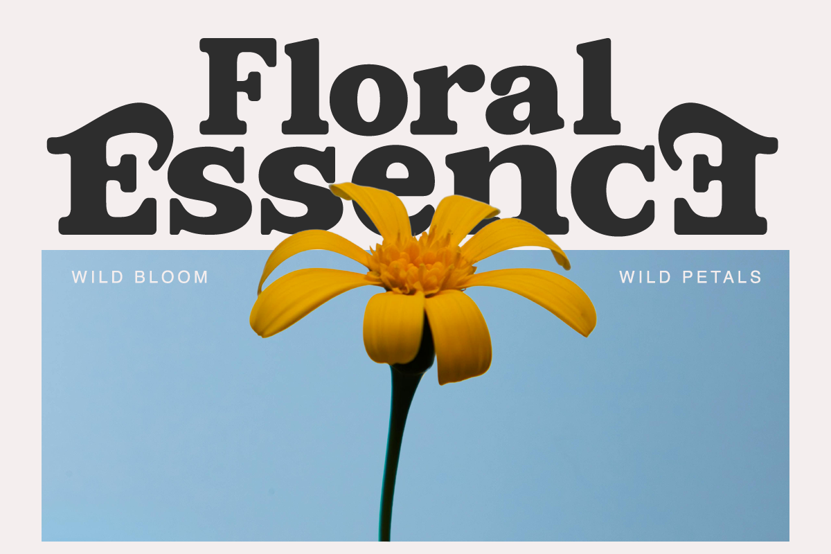 Lamonik Display Serif Font, a Serif Font by Rasio Studio (Photo 6 of 11)
