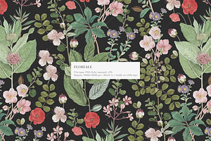 Botanical Floral English Pattern