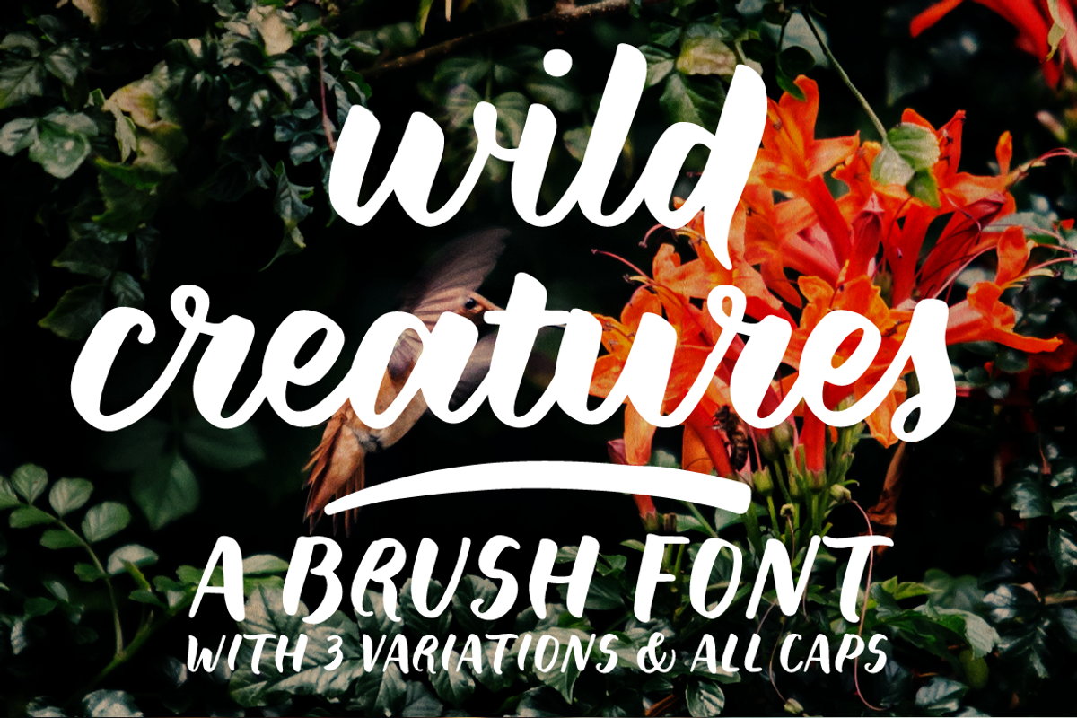 Wild Creatures brush font family