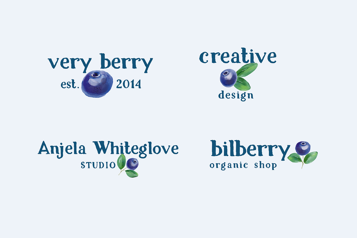 Bilberry rough serif font, a Serif Font by Art pages (Photo 6 of 10)