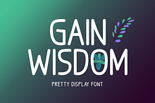 Gain Wisdom Typeface