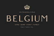 Belgium Font Family, a Sans Serif Font by Craft Supply Co. (Thumbnail 1 of 8)