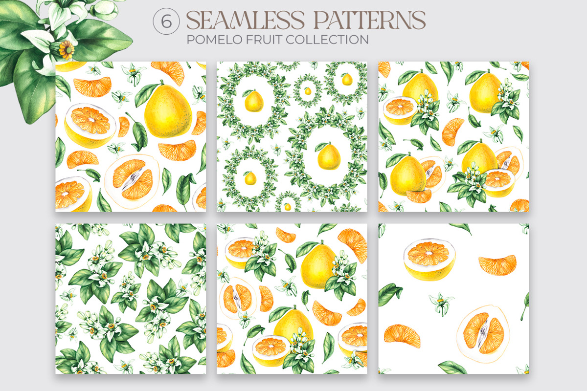 Pomelo Fruit Watercolor Collection, a Food Illustration by SashaKondr (Photo 11 of 13)