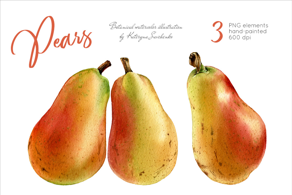 Pears. Watercolor botanical clipart, a Graphic by Akvarelldesign