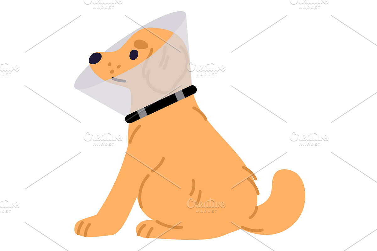 Dog is sitting in clear veterinarian, a Healthcare Illustration by Vectorbuum