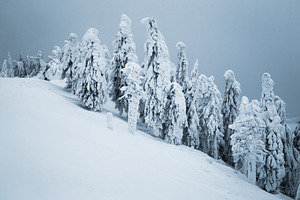 Misty and snowy winter landscape, a Nature Photo by Alpine Dreams