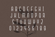 Signaline - Font Duo + Extras, a Script Font by Typehand Studio (Thumbnail 10 of 16)
