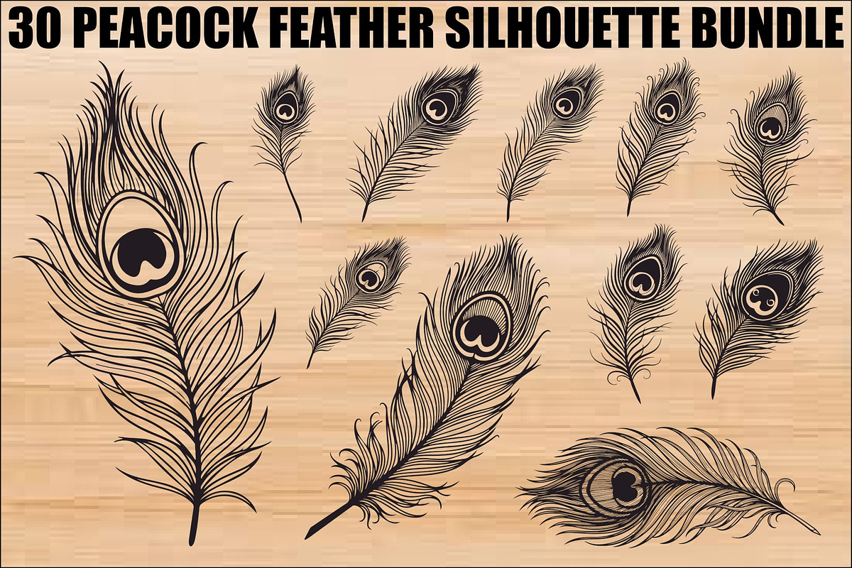 Peacock Feather Silhouette Bundle, an Illustration by jahid234 (Photo 1 of 31)