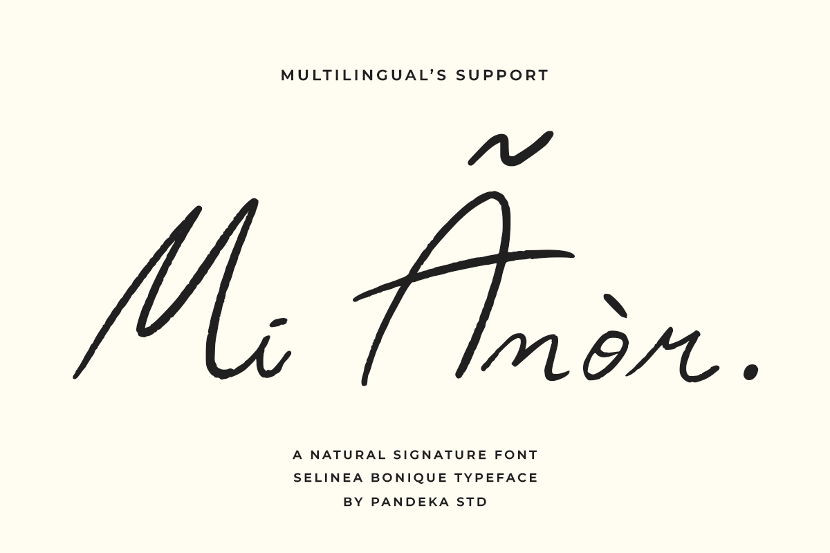 Selinea Bonique - Natural Signature, a Handwritten Font by Pandeka Studio (Photo 8 of 9)