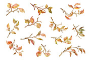 Watercolor Autumn Branches & Leaves, an Illustration by GraphicsDish (Thumbnail 2 of 4)