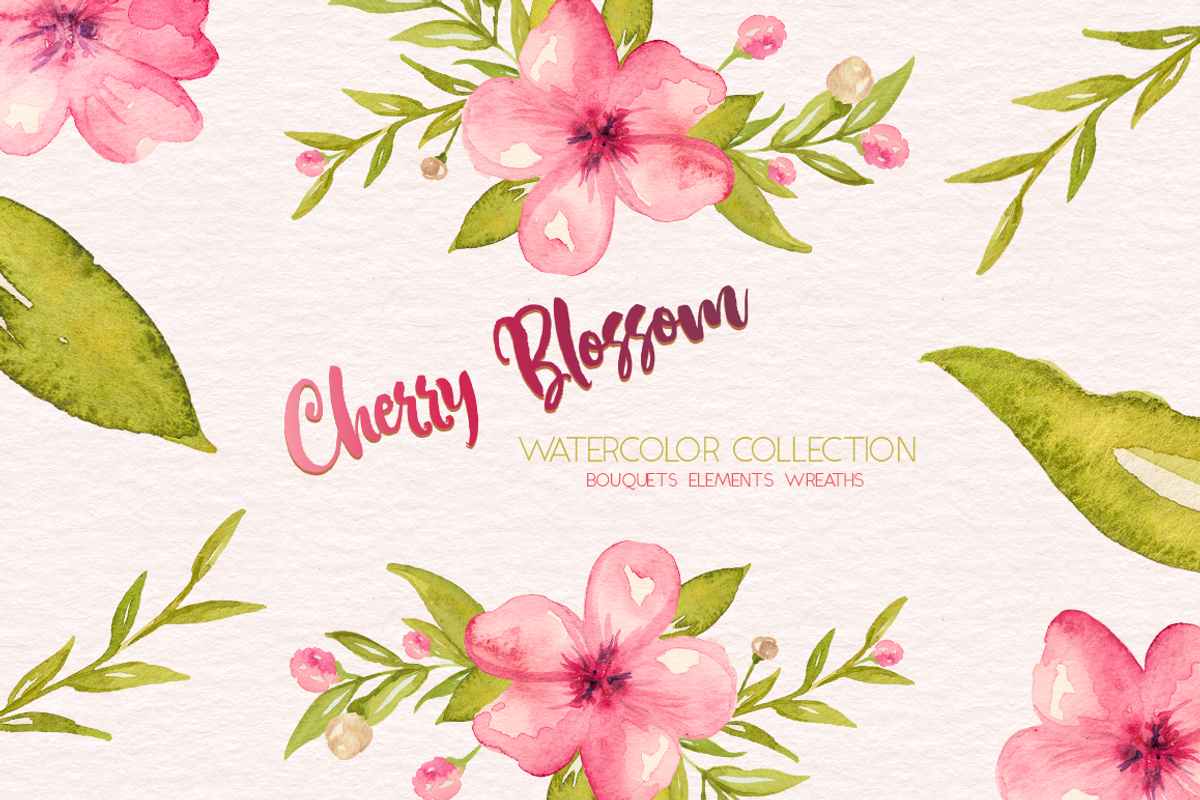 Cherry Blossom Watercolor Collection, an Illustration by By Kerri Ann (Photo 1 of 8)