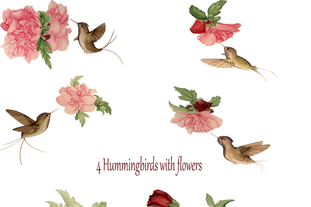 Watercolor Hummingbirds and Flowers, an Illustration by Pretty light (Photo 2 of 2)
