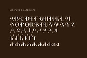 Gheklyn - Serif Typeface Font, a Serif Font by Rishsketch (Thumbnail 12 of 15)