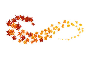 Autumn leaves design element, an Object Illustration by Things for designers