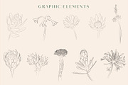 Line Art Floral Graphic Elements, a Decorative Illustration by CL Creative Studio (Thumbnail 4 of 11)