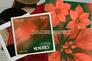 Christmas Poinsettia - Soft Floral, a Background Graphic by DigARTbyHavroshka (Thumbnail 3 of 9)