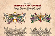 Insects and Flowers, an Animal Illustration by Ink Stories (Thumbnail 9 of 15)