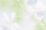 Rosy Blush - Floral Backgrounds, a Texture Graphic by lerinartstudio (Thumbnail 8 of 14)