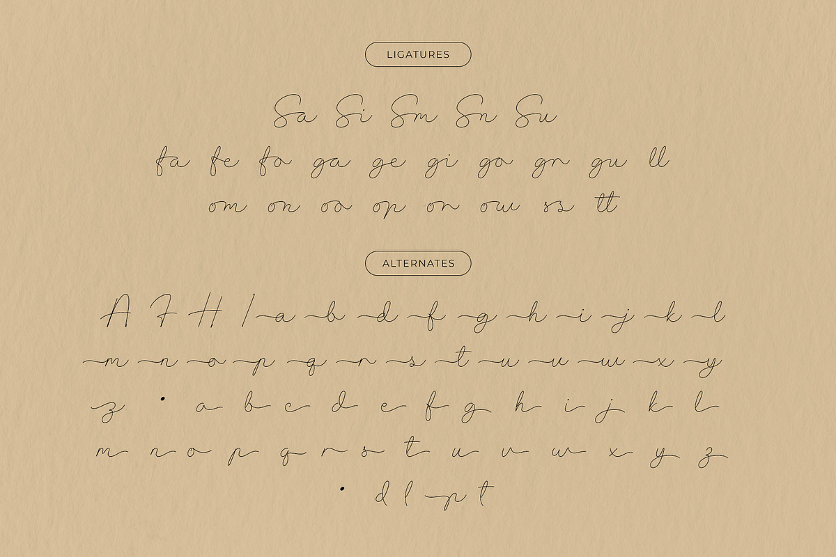 Estrader — A Handwritten Script Font, a Script Font by Almeera Std (Photo 8 of 10)
