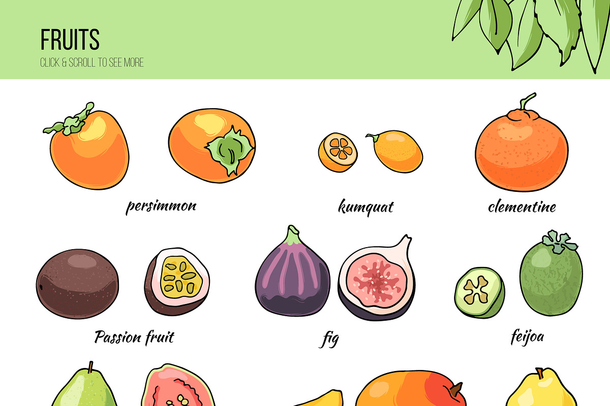 Fruit&berry clipart + label template, a Decorative Illustration by Pikovit (Photo 2 of 13)
