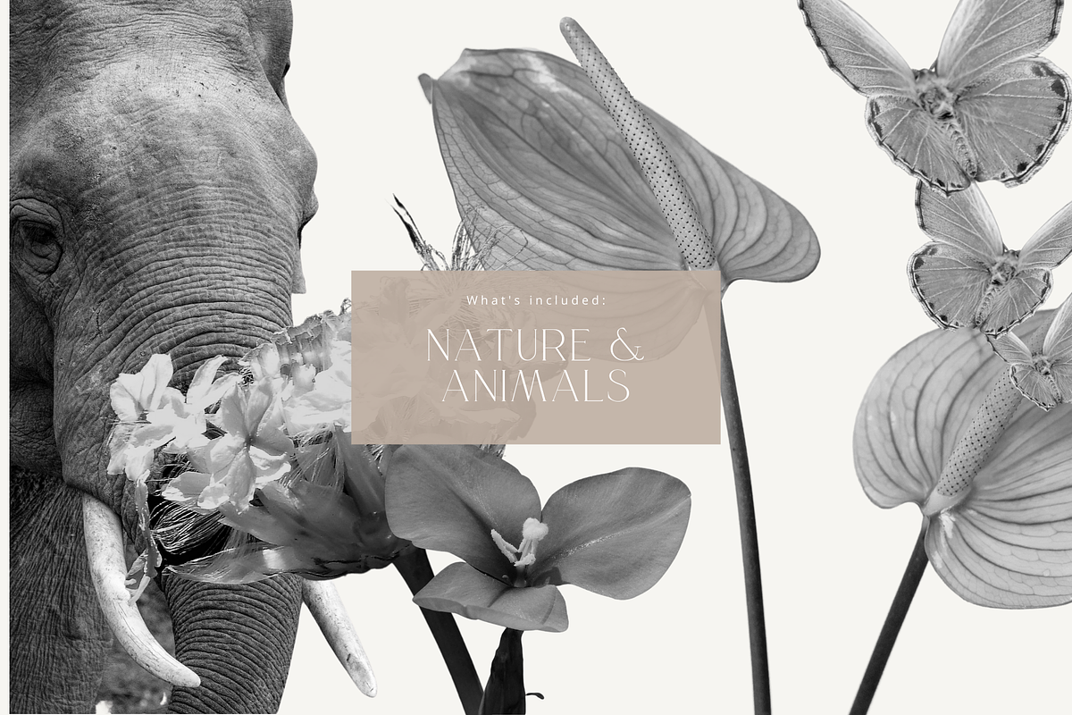 Black & White Collage Creator Bundle, an Illustration by 98 Created (Photo 8 of 10)