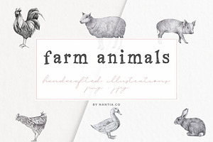 Farm Animals Illustration Pack