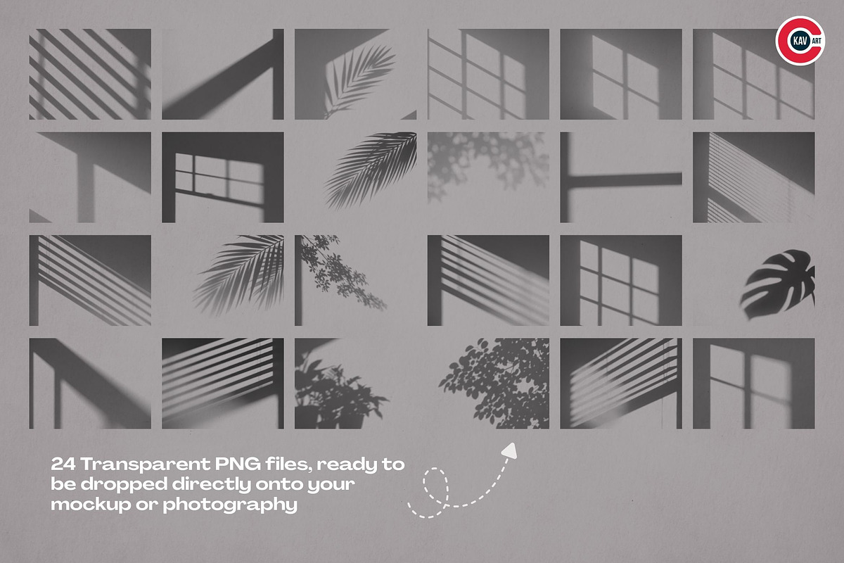 Minimal Window and Botanical Shadow, a Background Graphic by C-Kav (Photo 8 of 8)