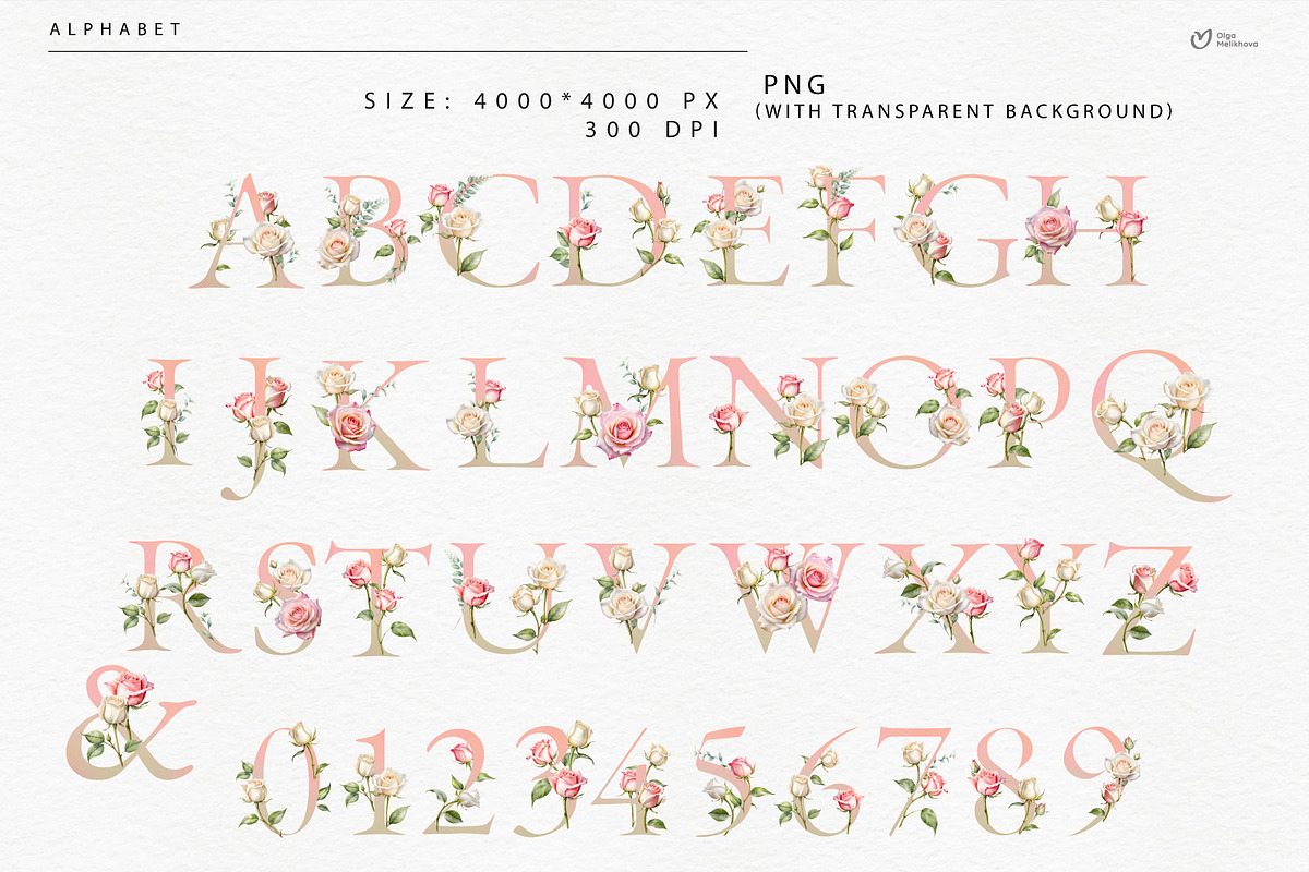 Roses - watercolor flowers, an Object Illustration by ollalya (Photo 7 of 8)