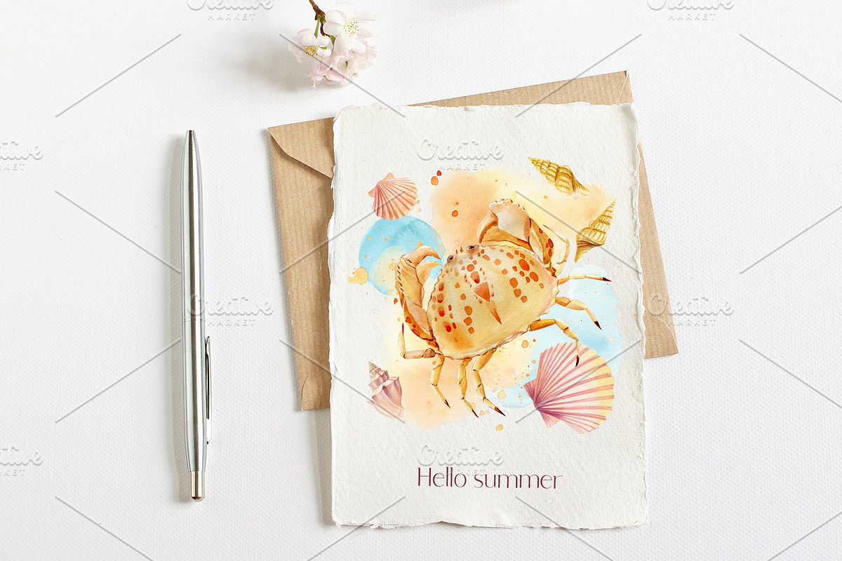 Watercolor starfish, shells, crabs, an Animal Illustration by Hanna Hryharenka (Photo 6 of 12)
