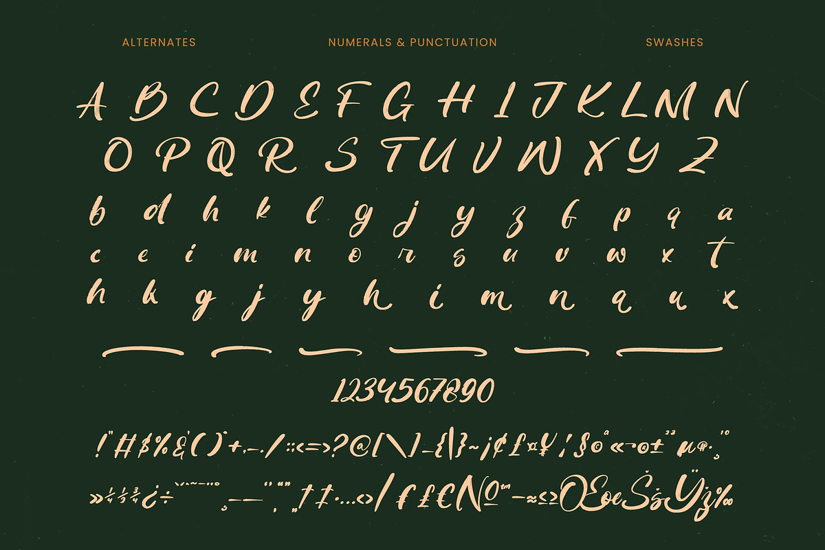 Routine Oldnight Modern Brush Font, a Script Font by Letterena Studios Script (Photo 18 of 20)