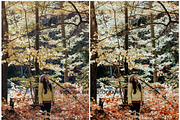 RICH AUTUMN LIGHTROOM PRESETS, a Preset Add-On by Victoria Bee Presets (Thumbnail 9 of 9)