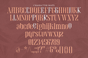 Beckos - Unique Serif Display