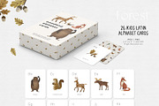 Forest animals. Alphabet & Patterns, an Animal Illustration by annartdreams (Thumbnail 9 of 11)