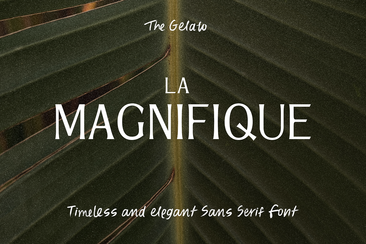 LA MAGNIFIQUE | Timeless Elegant San, a Sans Serif Font by The Gelato Type (Photo 1 of 23)