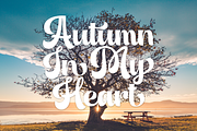 Luna Bella - Sweet Retro Script, a Script Font by Sign Studio (Thumbnail 5 of 8)