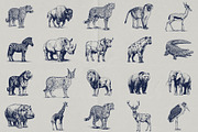 Wild Wonders: Safari Illustrations, an Animal Illustration by elliazidi.designs (Thumbnail 2 of 9)