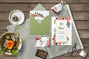 Rosaline, a Work Illustration by Charushella (Thumbnail 7 of 8)