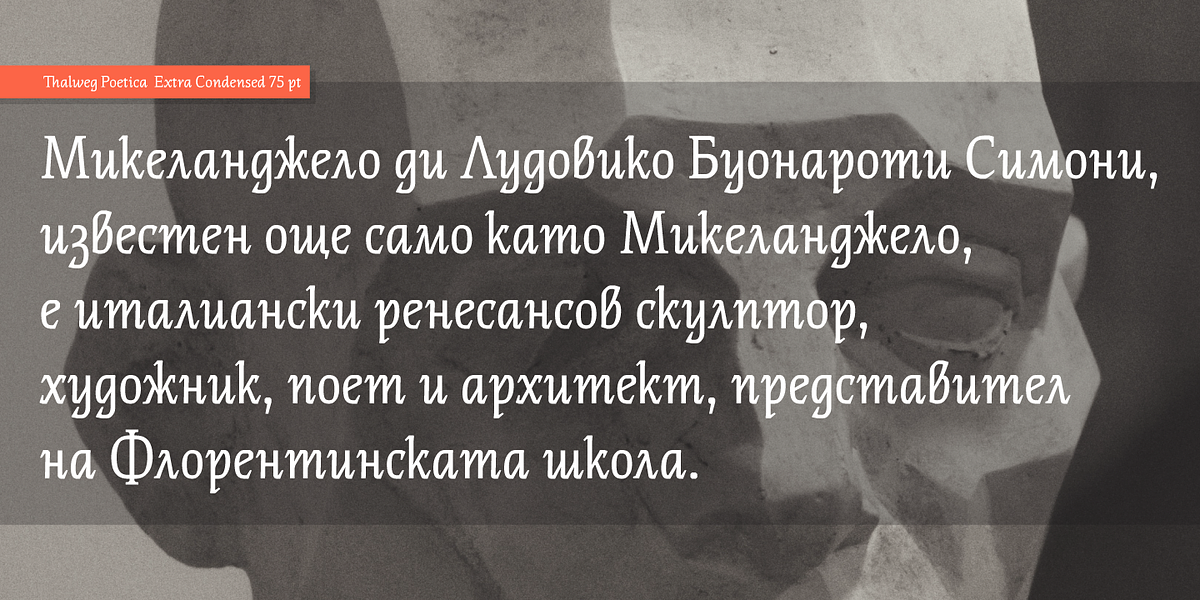 Thalweg Poetica, a Serif Font by Ani Dimitrova (Photo 8 of 15)