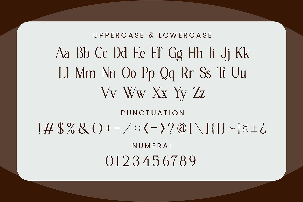 Molevin - Elegant Serif Font, a Serif Font by Aqeel_Art (Photo 11 of 13)