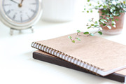 Neutral Collection | Styled Stock, a Business Photo by Chalking Up Stock (Thumbnail 12 of 25)
