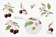 Cherry Watercolor Illustrations, a Food Illustration by Fedulova Art (Thumbnail 5 of 13)