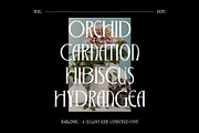 Bargonde | Elegant Serif Condensed, a Serif Font by Hole Hope Design (Thumbnail 15 of 20)