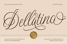Dellatino - An Elegant Script Font