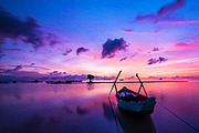 Oil Painting Effect Photoshop, an Action Add-On by liptouse (Thumbnail 4 of 7)