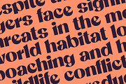 Claven; Sharp Serif Display Font, a Serif Font by Eko Bimantara (Thumbnail 9 of 10)
