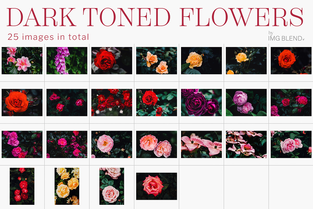 Dark toned flowers, stock photo set, a Photo by Imageblend (Photo 2 of 6)